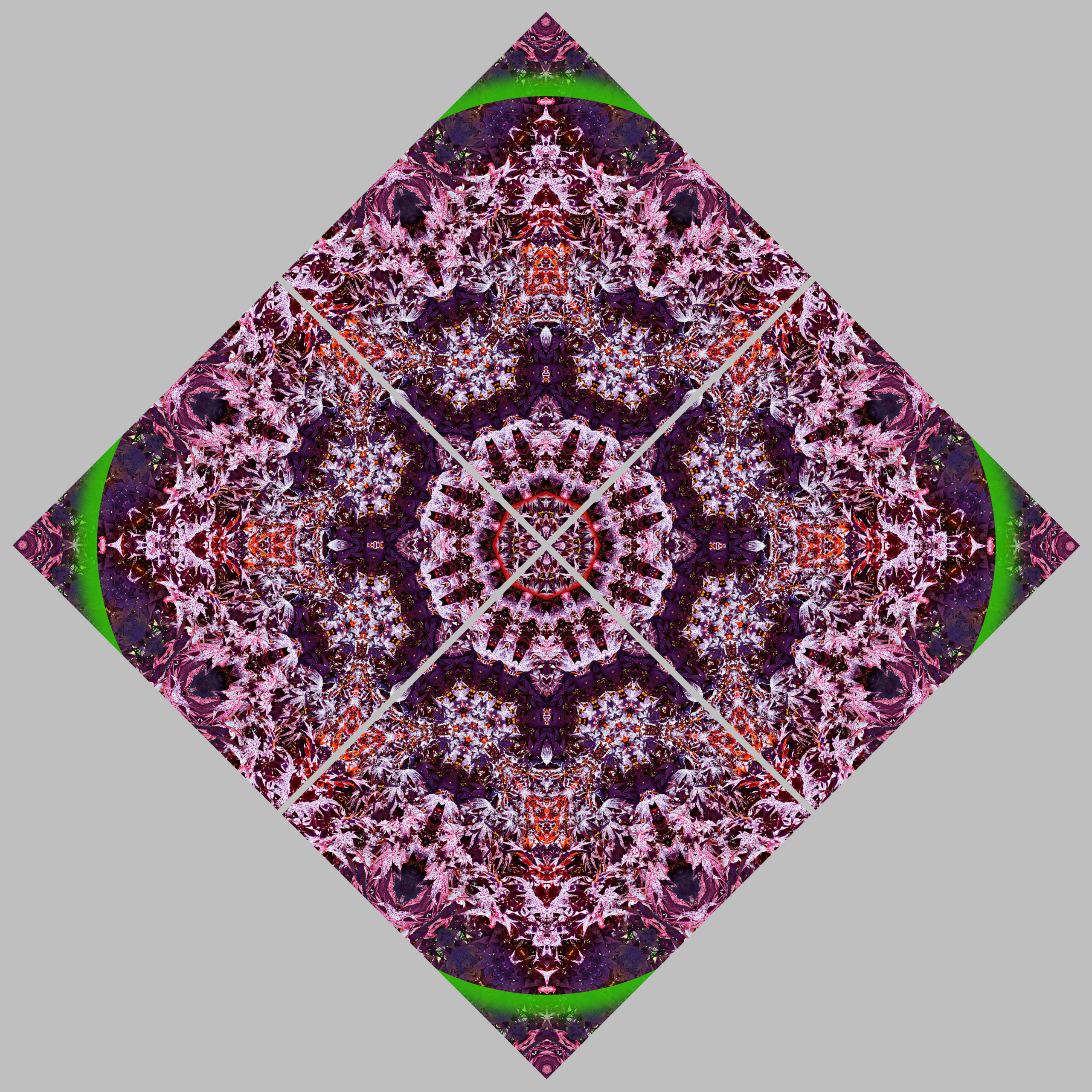 20240528140-z, Tableau