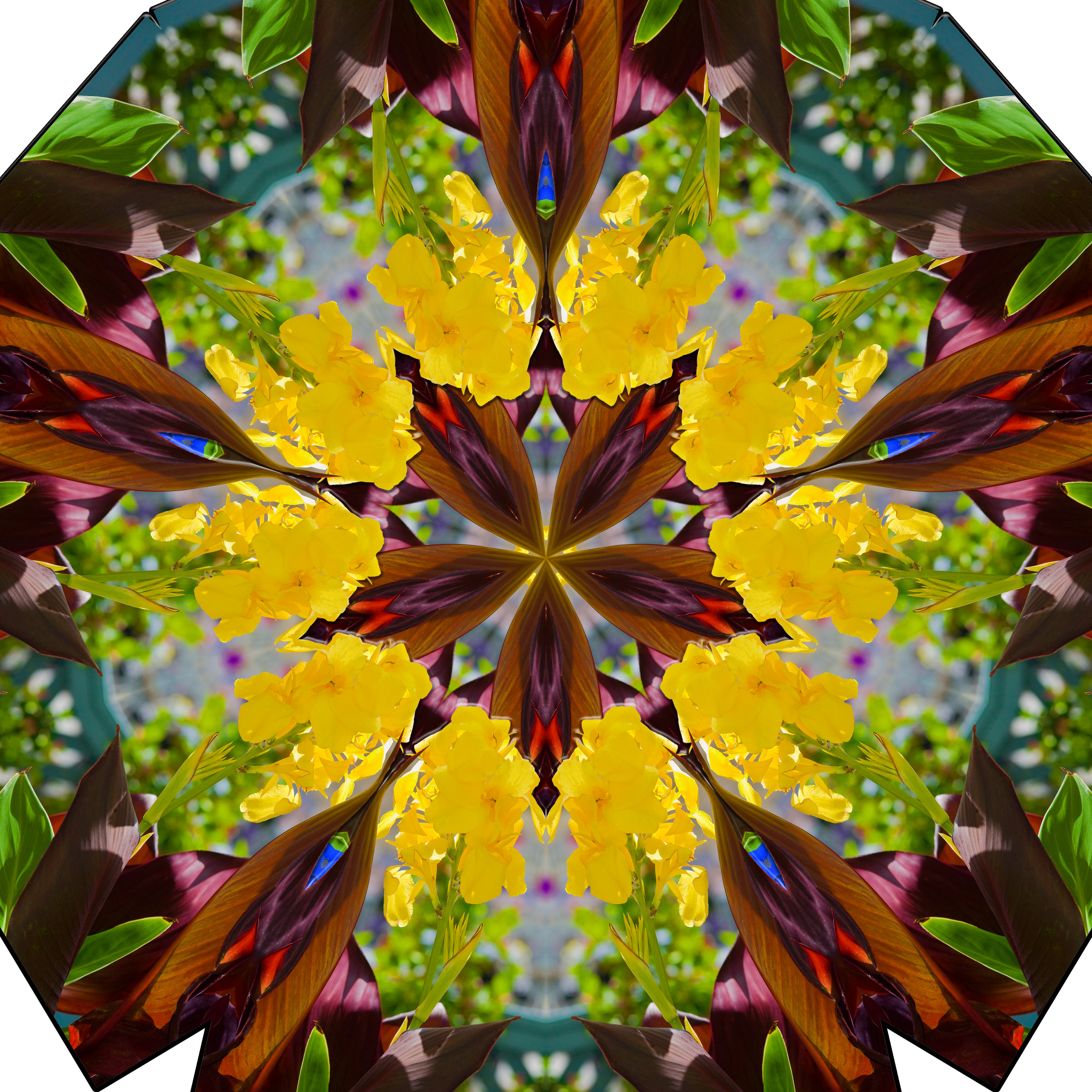 Gastgartenbepflanzung