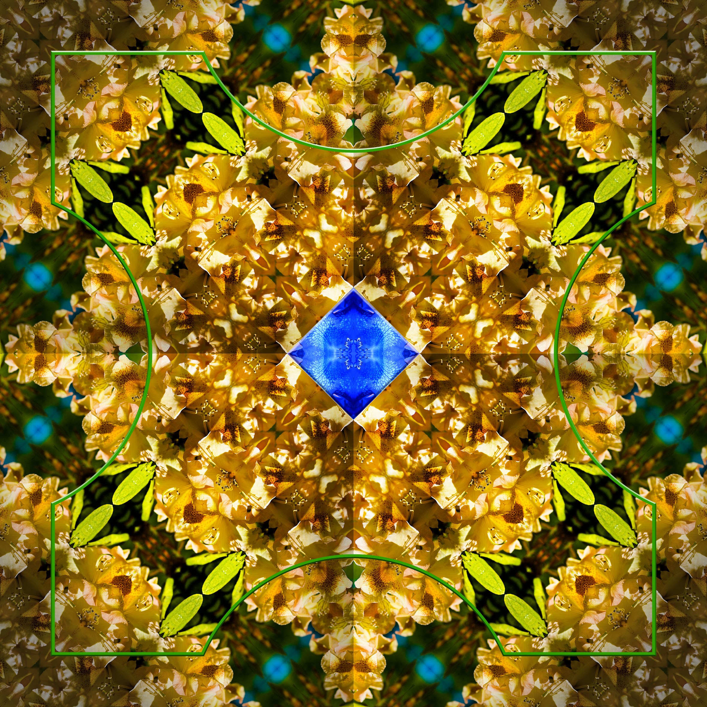 20260508560-a