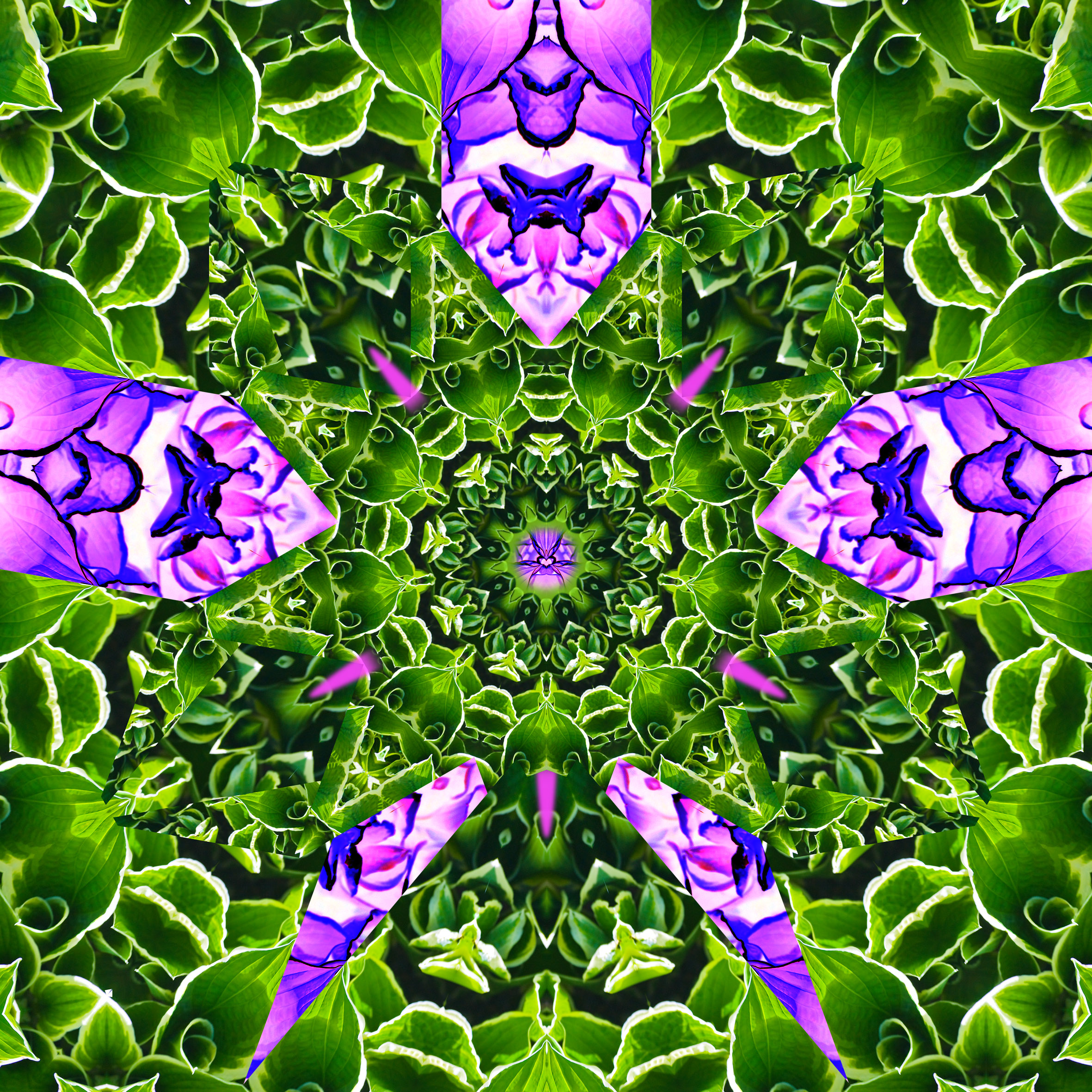 20260508607-a