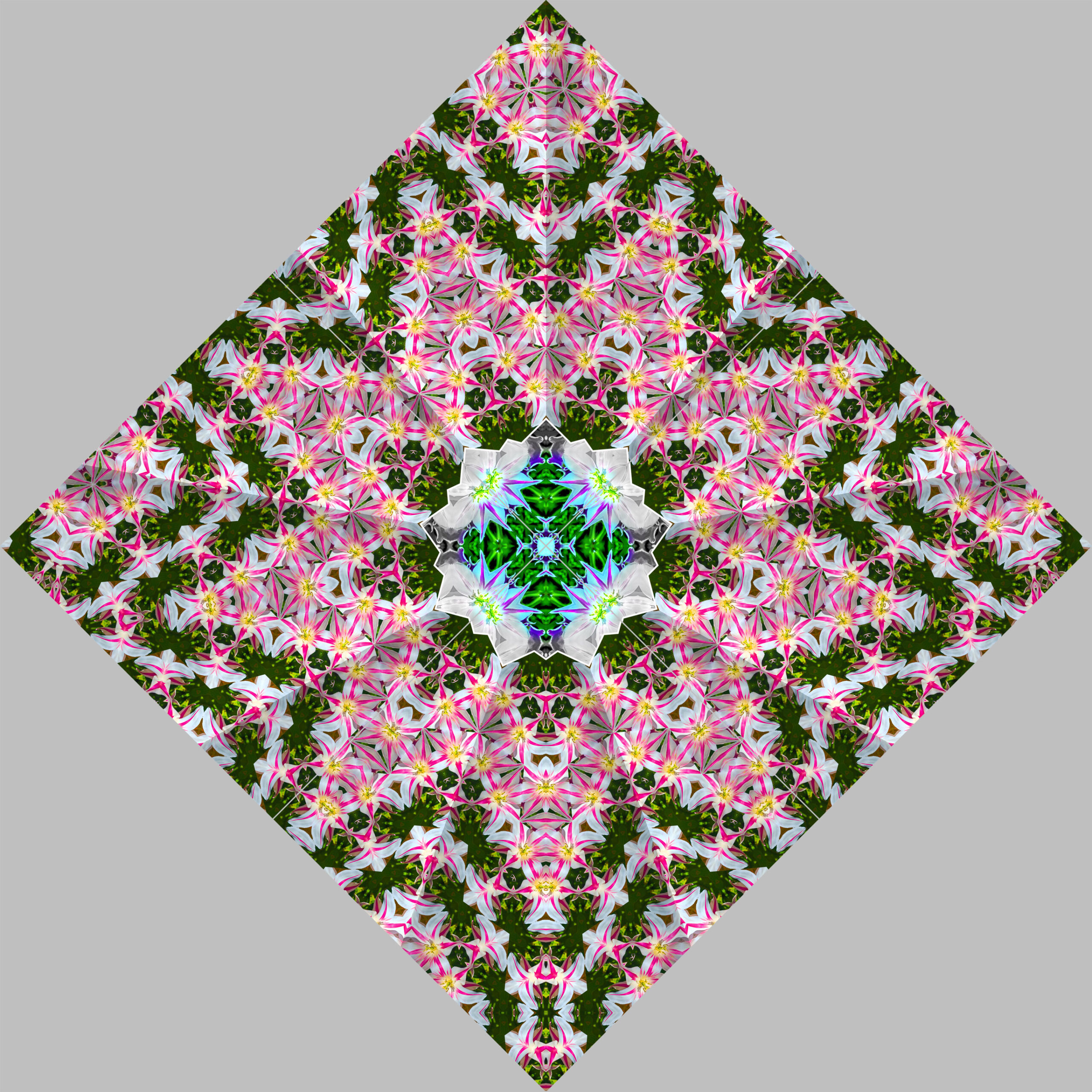 Grundlagen der Ornamentik